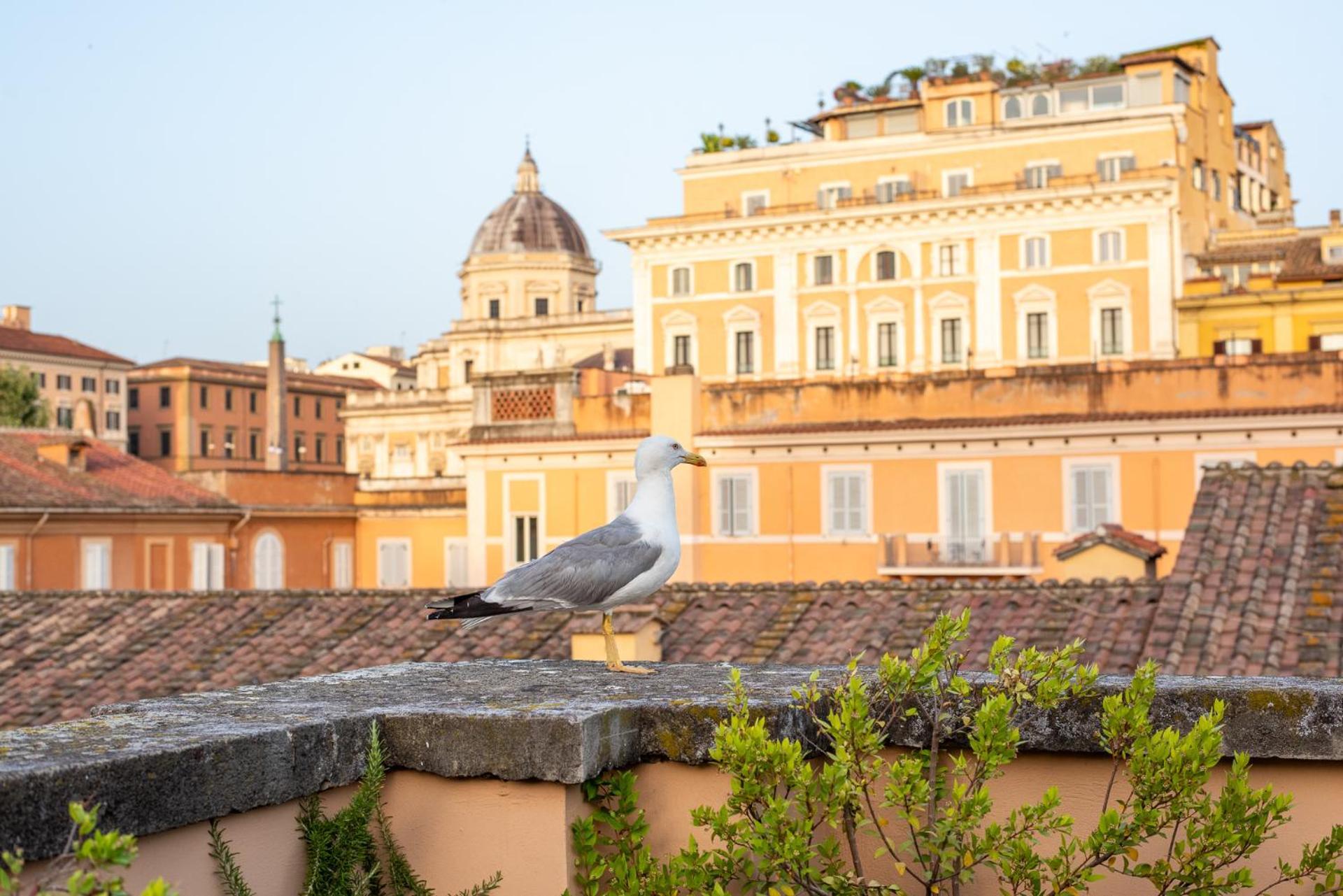 ホテル Sentho Roma エクステリア 写真